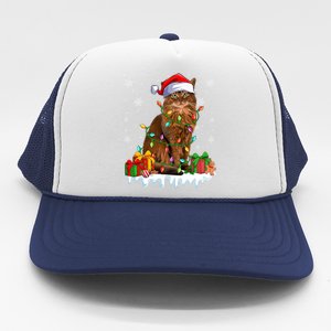 Somali Cat Xmas Light Christmas Kitten Lover Gift Trucker Hat