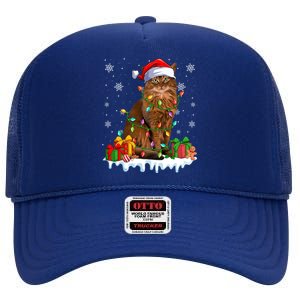 Somali Cat Xmas Light Christmas Kitten Lover Gift High Crown Mesh Back Trucker Hat