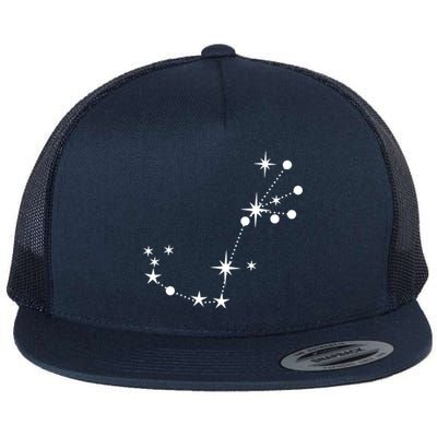 Scorpio Constellation Zodiac Gift Flat Bill Trucker Hat