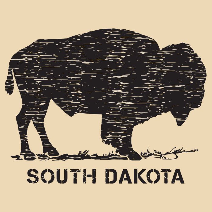 South Dakota And American Buffalo Bison Drawstring Bag