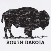 South Dakota And American Buffalo Bison 11oz C Handle Ceramic Mug