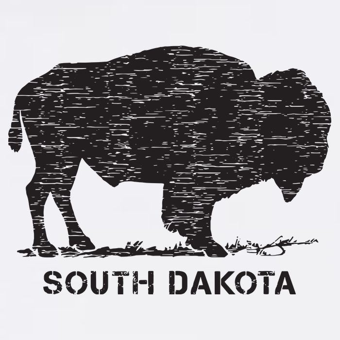 South Dakota And American Buffalo Bison 11oz C Handle Ceramic Mug