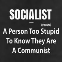 Socialist Definition A Person Too Stupid To Know They Are Garment-Dyed Fleece Hoodie