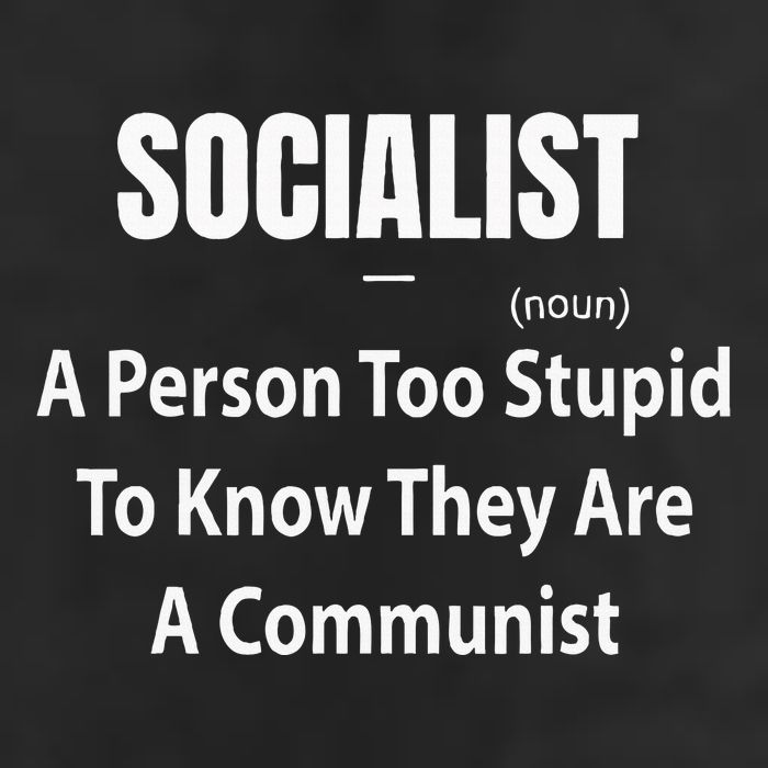 Socialist Definition A Person Too Stupid To Know They Are Garment-Dyed Fleece Hoodie