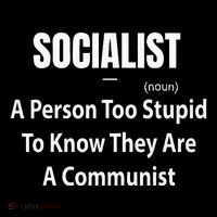 Socialist Definition A Person Too Stupid To Know They Are Flexfit Unipanel Trucker Cap