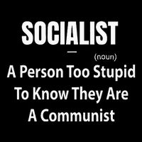 Socialist Definition A Person Too Stupid To Know They Are Magnet