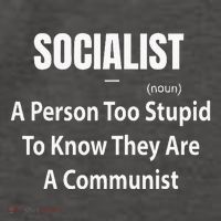 Socialist Definition A Person Too Stupid To Know They Are Vector Backpack