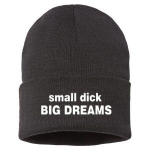 Small Dick Big Dreams Sustainable Knit Beanie