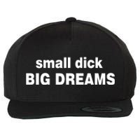 Small Dick Big Dreams Wool Snapback Cap