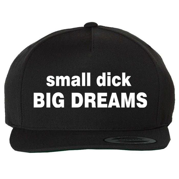 Small Dick Big Dreams Wool Snapback Cap