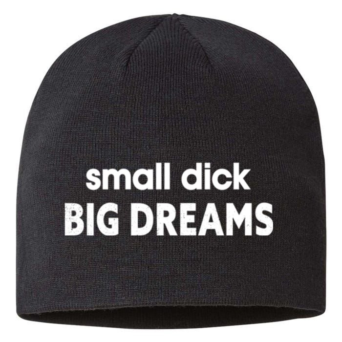 Small Dick Big Dreams Sustainable Beanie