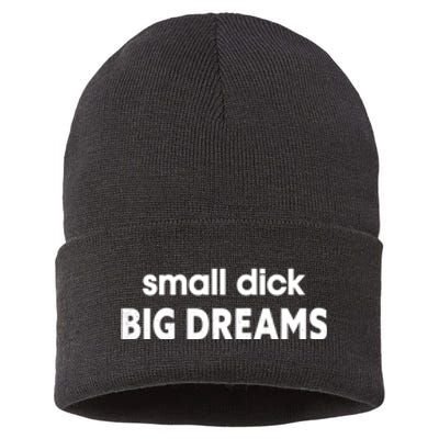 Small Dick Big Dreams Sustainable Knit Beanie