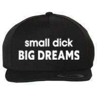 Small Dick Big Dreams Wool Snapback Cap