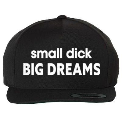 Small Dick Big Dreams Wool Snapback Cap