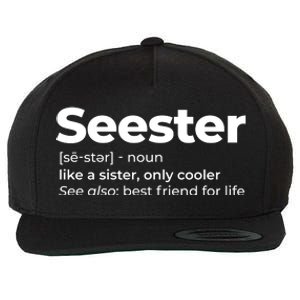 Seester Definition Best Friend For Life Wool Snapback Cap