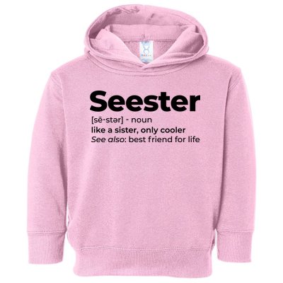 Seester Definition Best Friend For Life Toddler Hoodie