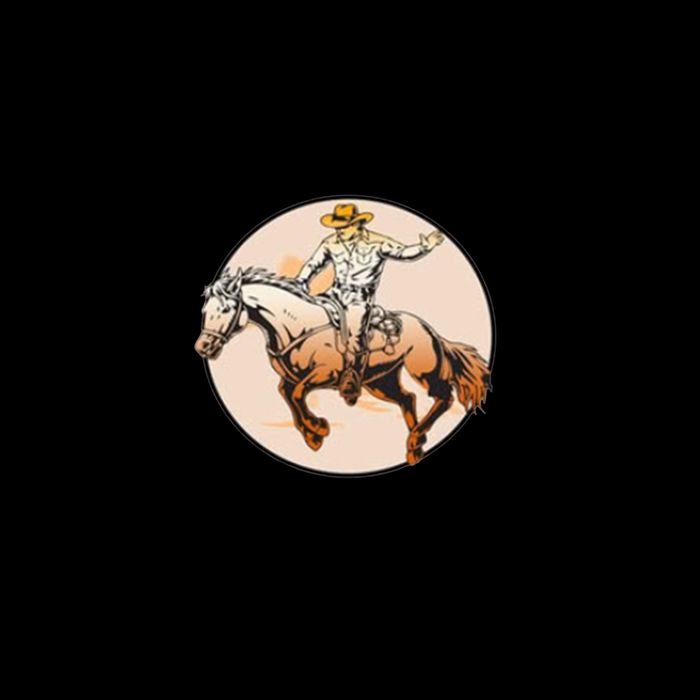 Sweat Dries Blood Clots Bones Heal Western Cow Horse Gift Bucket Hat