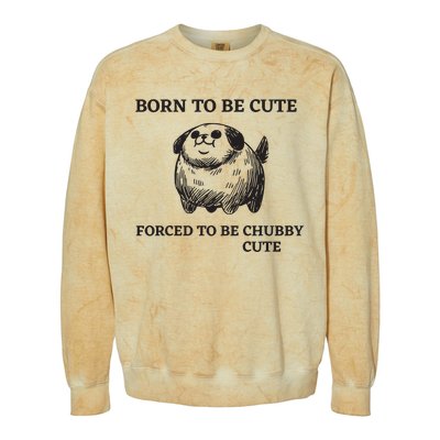 Silly Dogs Born To Be Cute Forced To Be Chubby Cute Colorblast Crewneck Sweatshirt