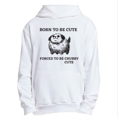 Silly Dogs Born To Be Cute Forced To Be Chubby Cute Urban Pullover Hoodie