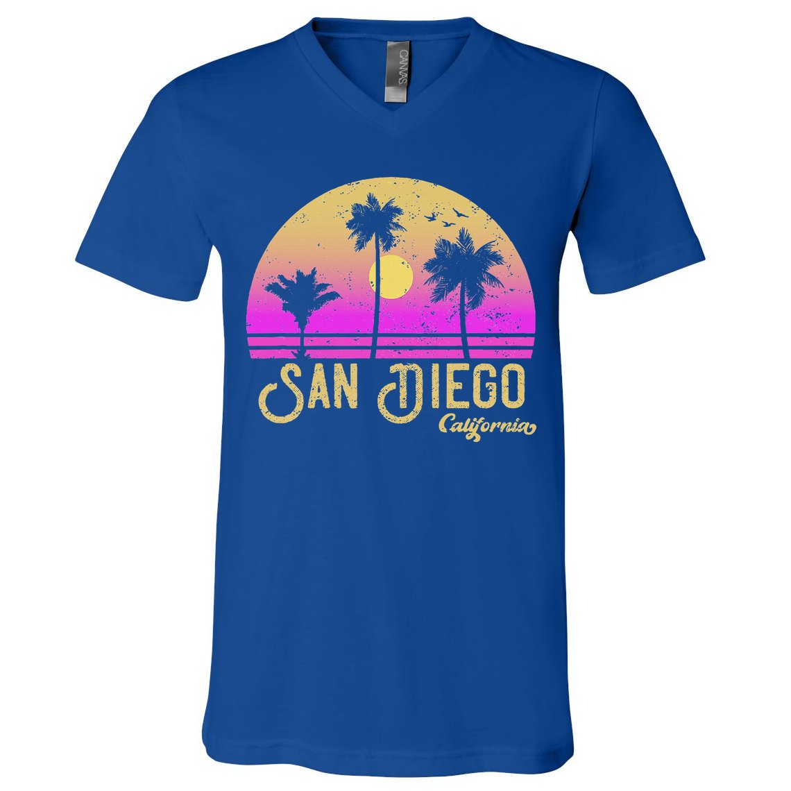 San Diego California V-Neck T-Shirt
