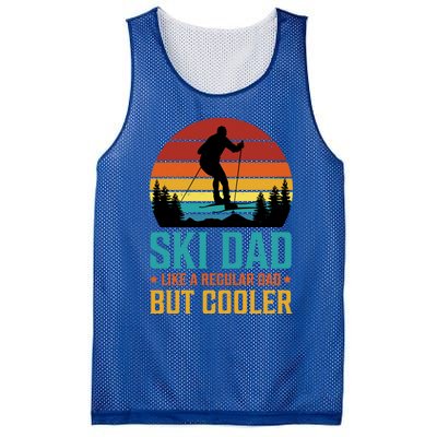 Ski Dad Cooler Regular Dad Fathers Day Funny Humor Outdoor Gift Mesh Reversible Basketball Jersey Tank