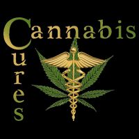 Sour Diesel Cannabis Cures Medical Smoke Weed Support Baby Bodysuit