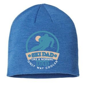 Ski Dad Cool Dad Gift Sustainable Beanie