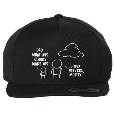 Software Developer Computer Engineer Nerd Gift Funny Programmer Gift Wool Snapback Cap