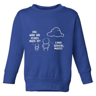 Software Developer Computer Engineer Nerd Gift Funny Programmer Gift Toddler Sweatshirt