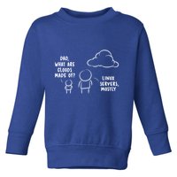 Software Developer Computer Engineer Nerd Gift Funny Programmer Gift Toddler Sweatshirt
