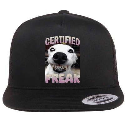 Silly Dog Certified Freak Dog I Got That Dog In Me Meme Flatbill Hat