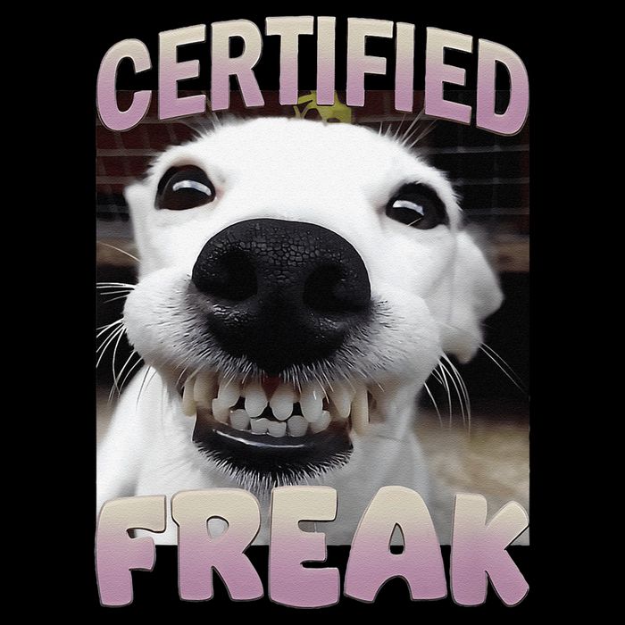 Silly Dog Certified Freak Dog I Got That Dog In Me Meme Visor