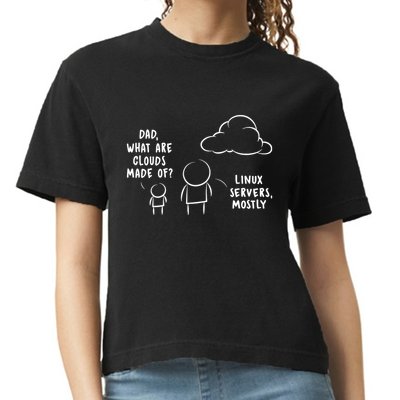Software Developer Computer Engineer Nerd Funny Programmer Comfort Colors Boxy T-Shirt