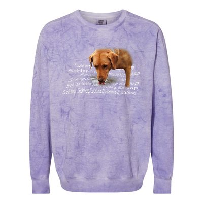 Schlop Dog Drinking Water Meme Colorblast Crewneck Sweatshirt