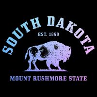 South Dakota Est. 1889 Mount Rushmore State Bison Vintage Hoodie