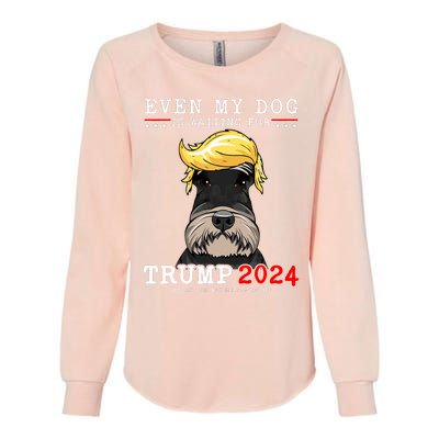 Schnauzer Dog Even My Dog Is Waiting For Trump 2024 Womens California Wash Sweatshirt