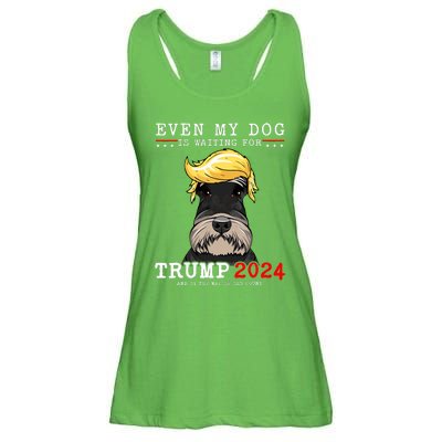 Schnauzer Dog Even My Dog Is Waiting For Trump 2024 Ladies Essential Flowy Tank