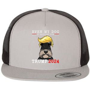 Schnauzer Dog Even My Dog Is Waiting For Trump 2024 Flat Bill Trucker Hat