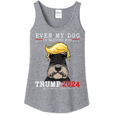 Schnauzer Dog Even My Dog Is Waiting For Trump 2024 Ladies Essential Tank