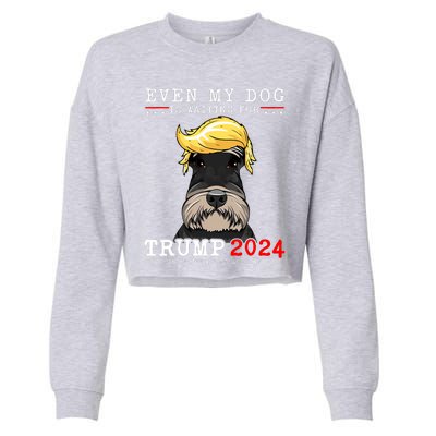 Schnauzer Dog Even My Dog Is Waiting For Trump 2024 Cropped Pullover Crew