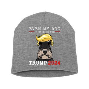 Schnauzer Dog Even My Dog Is Waiting For Trump 2024 Short Acrylic Beanie