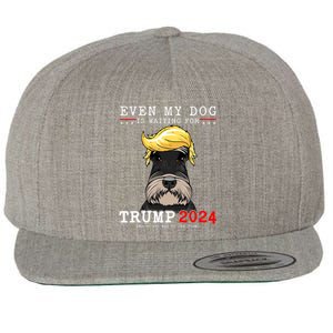 Schnauzer Dog Even My Dog Is Waiting For Trump 2024 Wool Snapback Cap