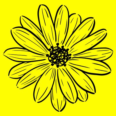 Spring Daisy Floral T-Shirt
