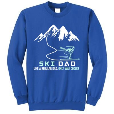 Ski Dad Funny Cute Winter Skiing Gift Sweatshirt