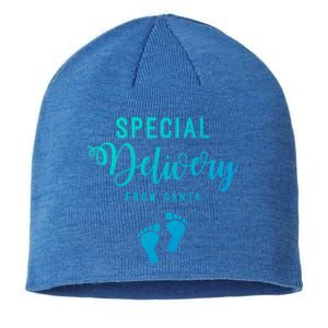 Special Delivery From Santa Pregnancy Announcet Gift Sustainable Beanie