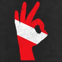 Scuba Diving Flag Ok Hand Sign Funny Scuba Diver Gift 11oz C Handle Ceramic Mug