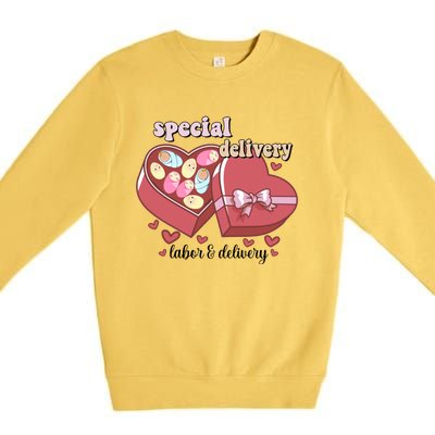 Special Delivery Funny L And D Nurse Happy Valentines Day Gift Premium Crewneck Sweatshirt