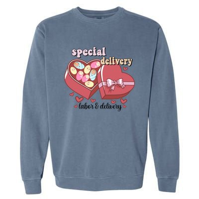 Special Delivery Funny L And D Nurse Happy Valentines Day Gift Garment-Dyed Sweatshirt