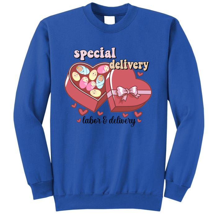 Special Delivery Funny L And D Nurse Happy Valentines Day Gift Sweatshirt