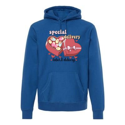 Special Delivery Funny L And D Nurse Happy Valentines Day Gift Premium Hoodie